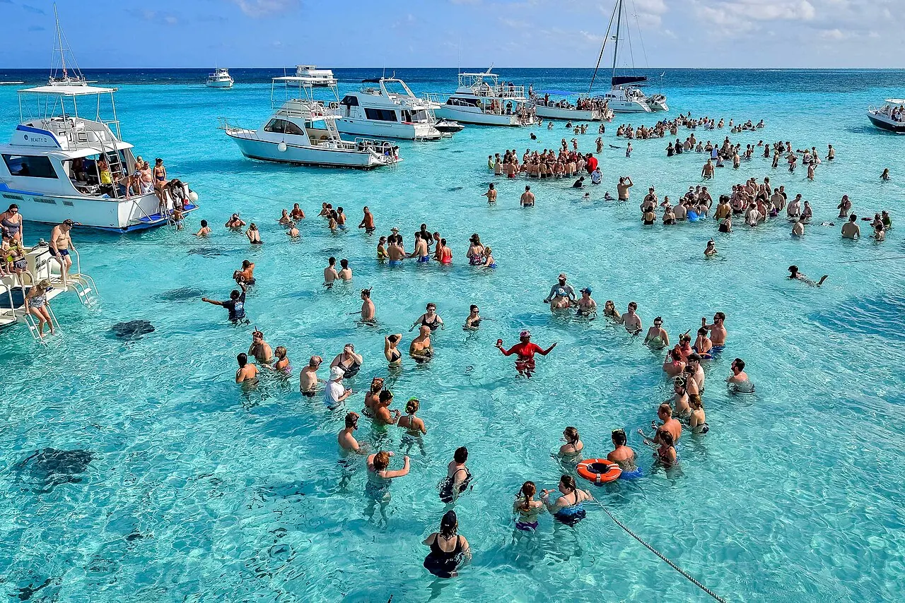 Snorkelers with stingrays on the Stingray City sandbar, Grand Cayman